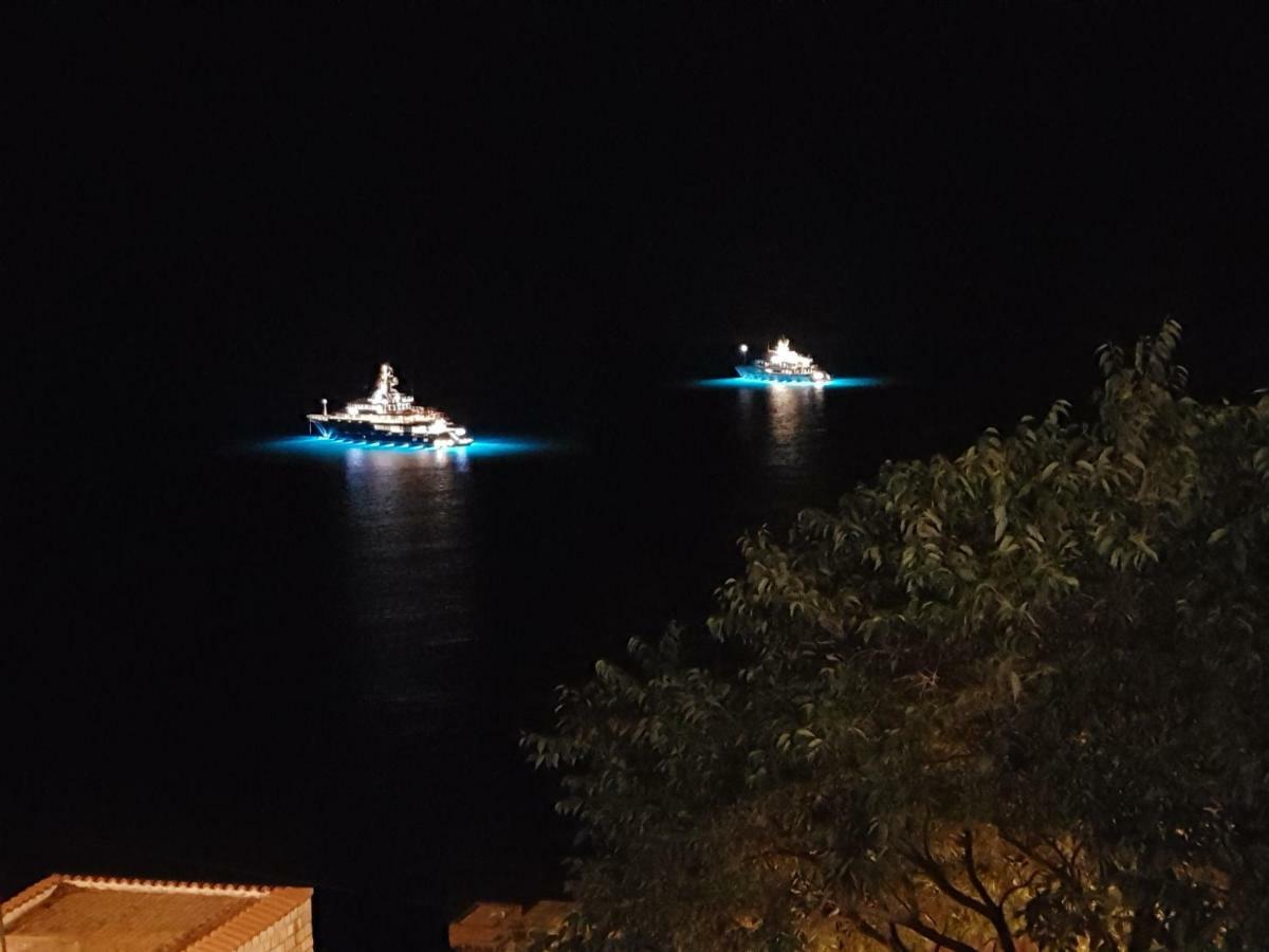 Villa Palmera دوبروفينك المظهر الخارجي الصورة
