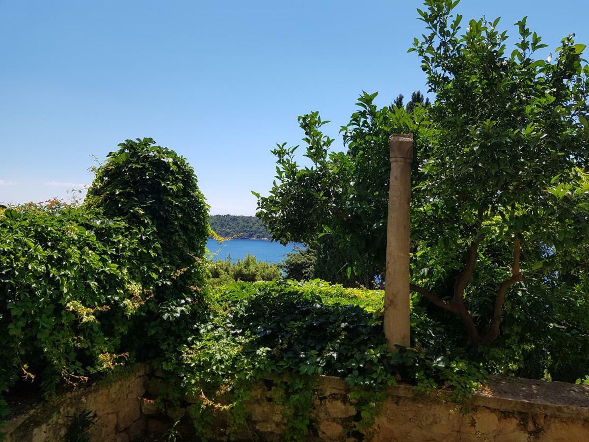 Villa Palmera دوبروفينك المظهر الخارجي الصورة